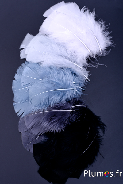 Dinde - 6-8 cm - camaïeu gris